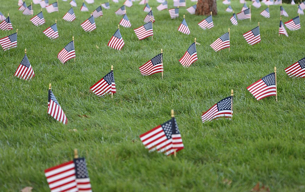 American flags in memoriam